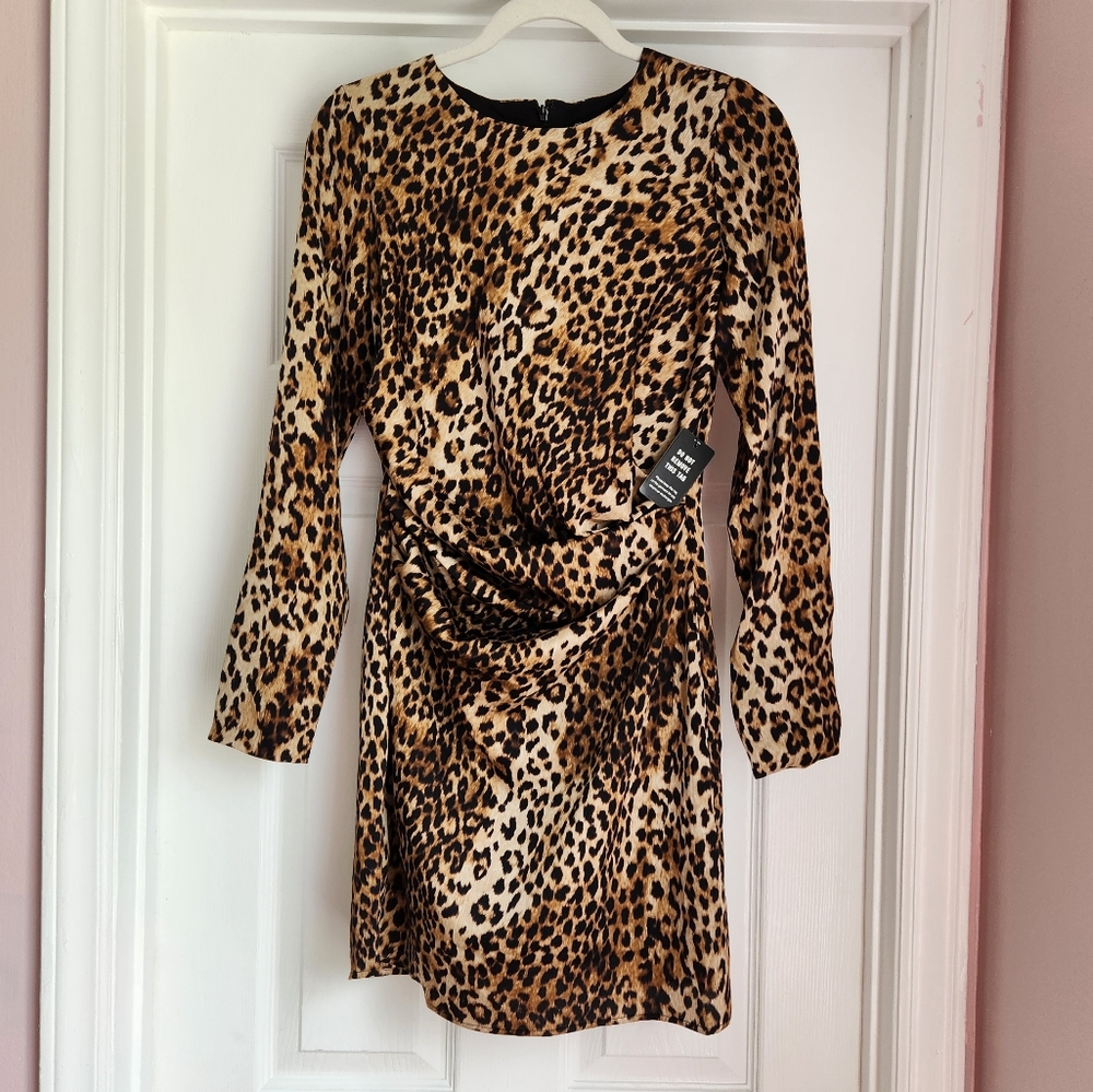 Express X Karla Leopard Dress, Size 6